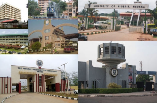 Crisis looms in Nigerian Universities as 50% of lecturers ‘japa’ for better working conditions