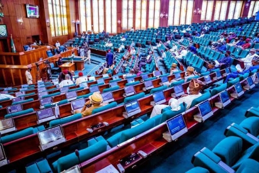 JUST IN: PDP Rep Member Escapes Suspension for ‘Disrespecting’ House Speaker