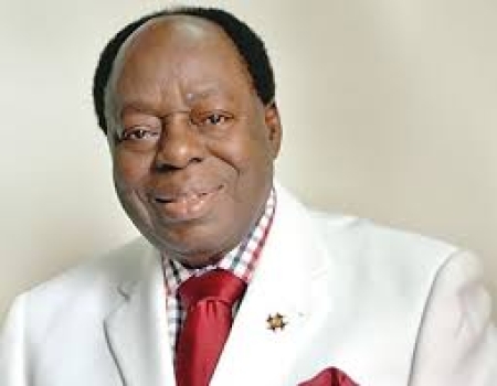 Politics is only lucrative business in Nigeria -Afe Babalola