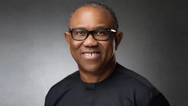 Peter Obi Raises The Alarm On New Plots Against Him – Lifestyle Nigeria