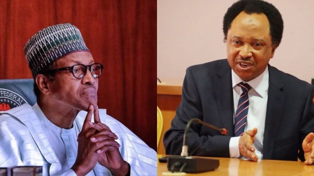 North silent under Buhari because it benefitted from nepotism, says Shehu Sani