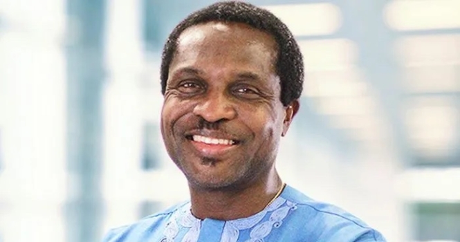 Tonye Cole urges rethink of Nigeria’s presidential system, cites cultural misalignment