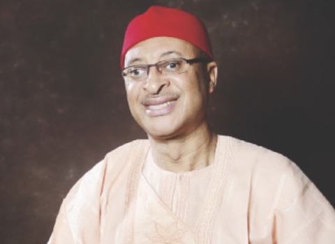 Pat Utomi speaks from US: Reveals identities of Shadow Government members