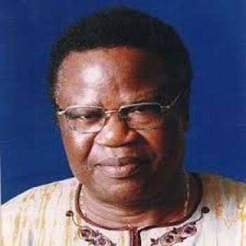 Unforgettable hero: Tony Momoh
