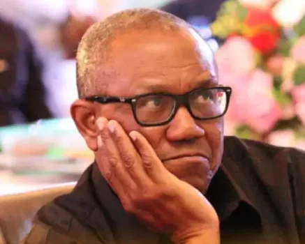 Peter Obi Is Celebrating Being The Biggest Importer Of Alcohol And He Wants The North To Vote For Him? – APC Chieftain, Hassan