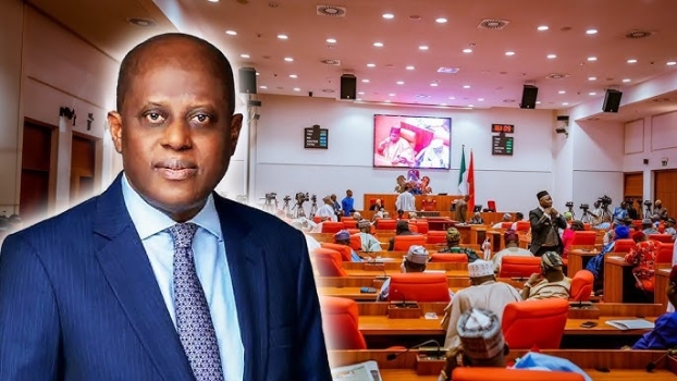 House of Reps Probe CBN Governor Cardoso Over Missing ₦16 Trillion Revenue