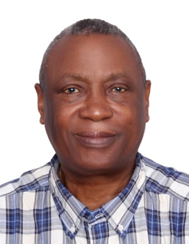 The illusion of a single party, By Eric Teniola