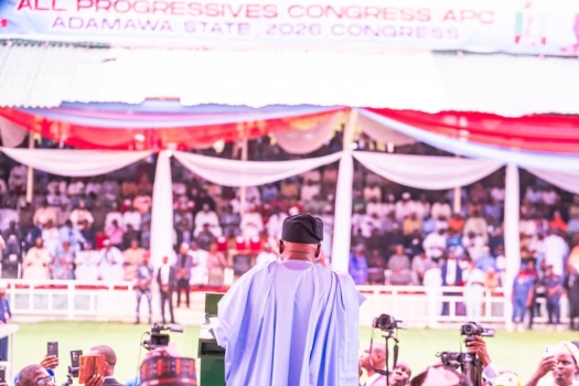 From Fusion to Future – How Fintiri Is Redefining Power and Succession in Adamawa