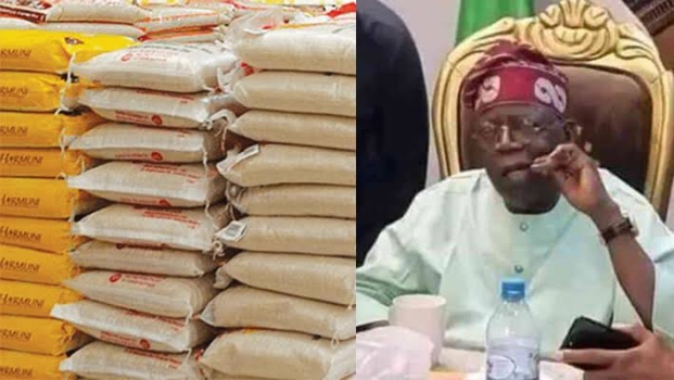 ‘Nigerians Are Not Beggars’ — Atiku Blasts Tinubu Over Rice Distribution Politics