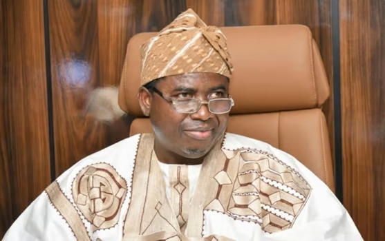 THEWILL EDITORIAL: INEC on the Spotlight Again