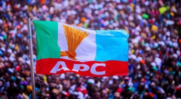 2027: Imo APC Chairman Promises Massive Votes for Tinubu’s Re-election