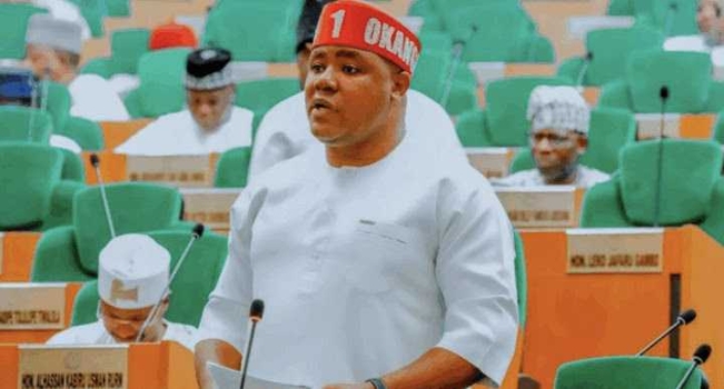 “We Don’t Need Tinubu” — Reps Deputy Spokesperson Speaks on Budget Probe