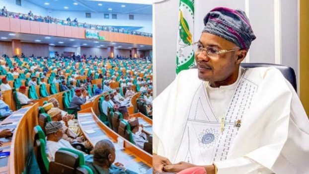 PFIPC Probe: Reps Discover Document Naming Tinubu as Council Chairman