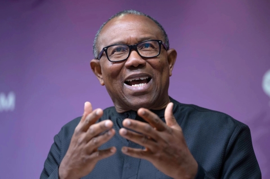 Peter Obi’s One-Term Presidency: A Bold Gamble for Nigeria [MUST READ]
